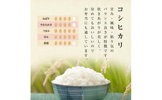 【先行予約】お米の定期便 農薬不使用米 太地米完熟 【こ