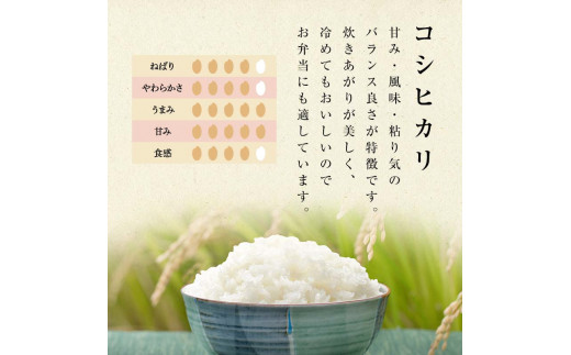 【先行予約】お米の定期便 農薬不使用米 太地米完熟 【こ