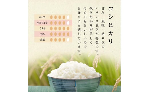 お米の定期便 自然栽培米 太地米完熟 【こしひかり】 白米5