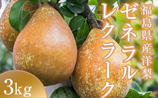 阿部農縁　希少な洋梨ゼネラルレクラーク3kg(6～8玉)　福島
