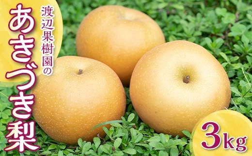 渡辺果樹園のあきづき梨　約3kg＜9月中旬～10月上旬にお届