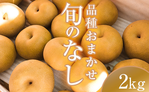 阿部農縁　福島県の和梨　品種おまかせ　旬のなし2kg(5～8
