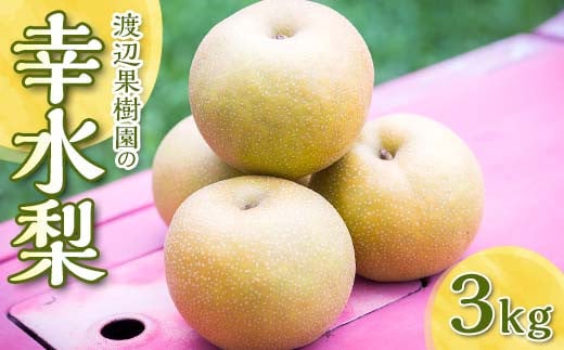 渡辺果樹園の幸水梨　約3kg＜8月中旬～9月上旬にお届け＞ F7
