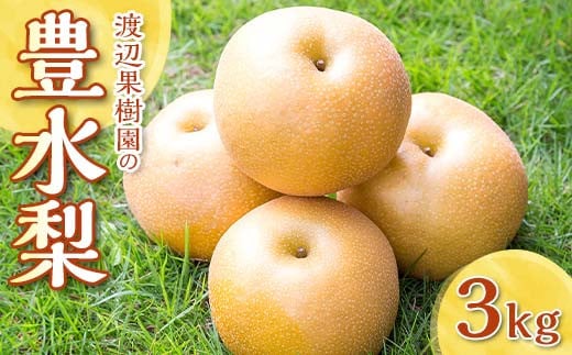 渡辺果樹園の豊水梨　約3kg＜9月上旬～9月下旬にお届け＞ F7