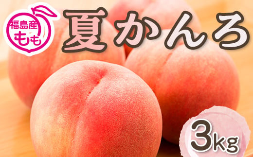 阿部農縁　福島の桃　夏かんろ3kg(10～12玉)　ギフト・贈答