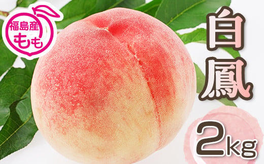 阿部農縁　福島の桃　白鳳2kg(6～9玉)　ギフト・贈答用　ふ