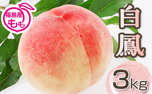 阿部農縁　福島の桃　白鳳3kg(8～12玉)　ギフト・贈答用　ふ