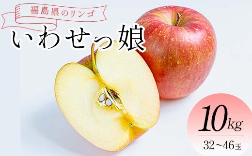 福島県のリンゴ　いわせっ娘 約10kg(32～46玉) F7X-0012