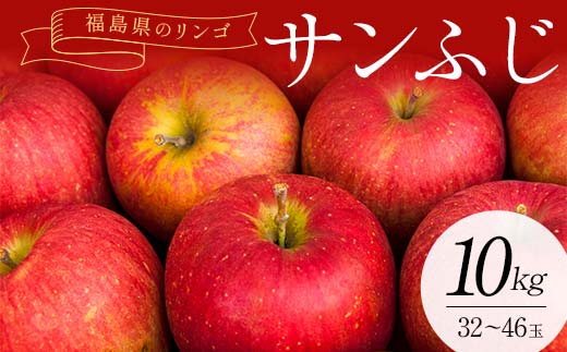 福島県のリンゴ　サンふじ約10kg(32～46玉) F7X-0015