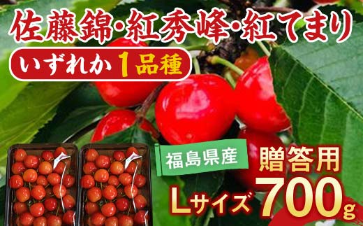 さくらんぼ 佐藤錦 紅秀峰 紅てまり どれか1品種 約700g L～2L
