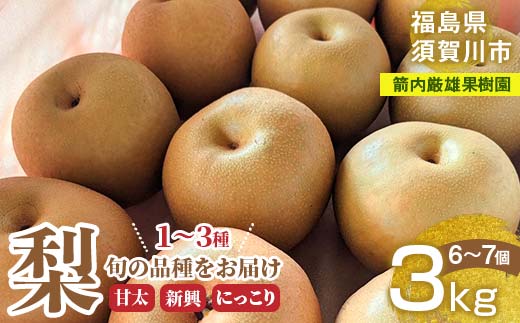 梨 ＜箭内厳雄果樹園＞ 甘太 新興 にっこり 1～3種入り 3kg 6