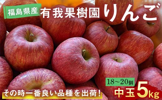 りんご 中玉 18～20個 5kg ＜有我果樹園＞ F7X-0234