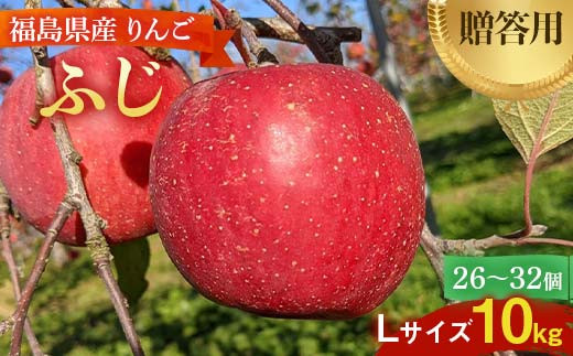 ＜佐藤幸男農園＞りんご 10kg ふじ Lサイズ 26～32玉 F7X-0222