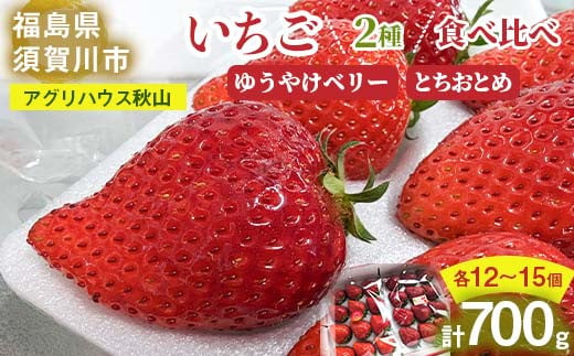 ＜先行予約＞いちご ＜アグリハウス秋山＞ 食べ比べ「ゆう