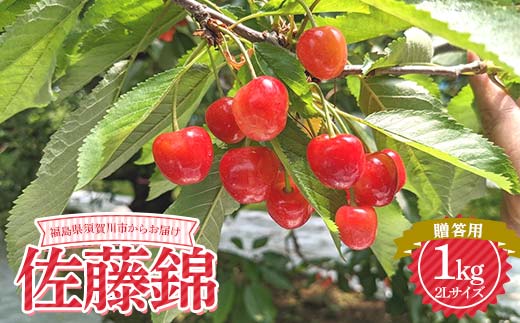 さくらんぼ 佐藤錦 2L 1kg 贈答用 ＜佐藤幸男農園＞ さくらん