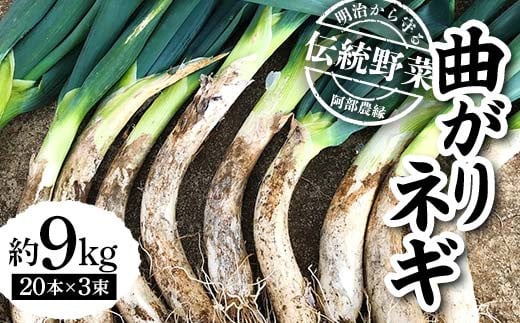 明治から守る伝統野菜「曲がりネギ」約9kg F7X-0076