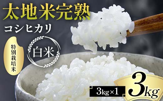 2024年産 特別栽培米 太地米完熟 【こしひかり】 白米 3kg ブ