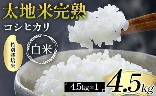 2026年産 特別栽培米 太地米完熟【こしひかり】 白米 4.5kg ブ