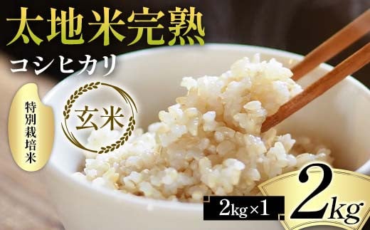 2026年産 特別栽培米 太地米完熟【こしひかり】 玄米 2kg ブ