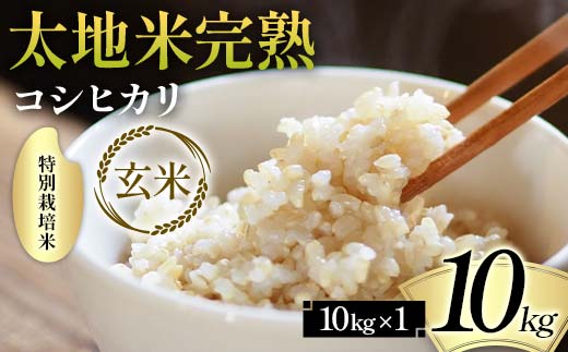 2026年産 特別栽培米 太地米完熟【こしひかり】 玄米 10kg ブ