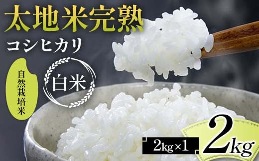 2024年産 自然栽培米 太地米完熟 【こしひかり】 白米 2kg ブ