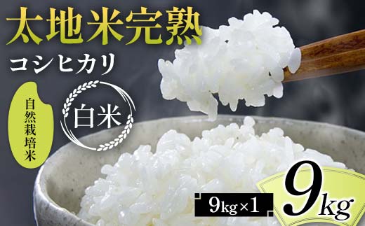 2026年産 自然栽培米 太地米完熟【こしひかり】 白米 9kg ブ