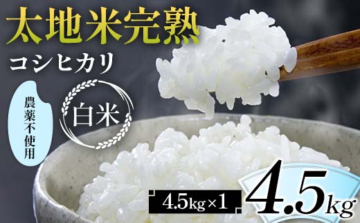 2026年産 農薬不使用 太地米完熟【こしひかり】 白米 4.5kg ブ