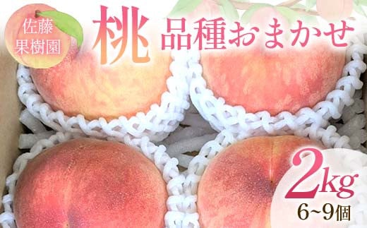 桃 品種おまかせ 2kg 6～9個 もも 贈答 プレゼント ＜佐藤果
