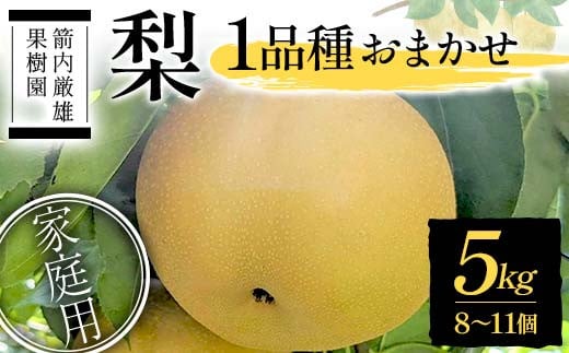 梨 家庭用 1品種おまかせ 5kg 8～11個 ＜箭内厳雄果樹園＞ な