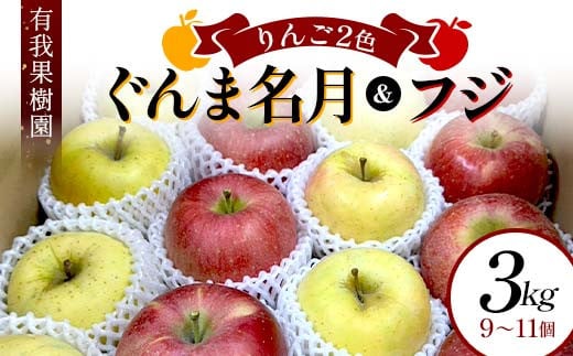 りんご 2色 リンゴ ぐんま名月 フジ 3kg 9～11個 御歳暮 ＜有