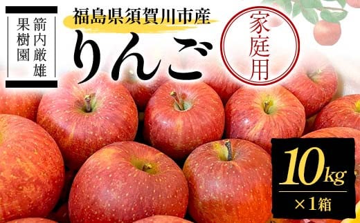 須賀川市産 リンゴ 家庭用 10kg ＜箭内厳雄果樹園＞ りんご 