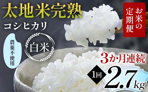 【先行予約】お米の定期便 農薬不使用米 太地米完熟 【こ