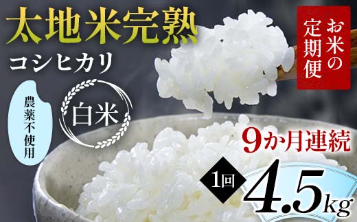 【先行予約】お米の定期便 農薬不使用米 太地米完熟 【こ