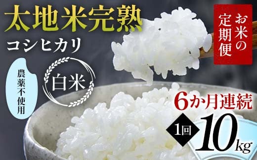 お米の定期便 農薬不使用米 太地米完熟 【こしひかり】 白