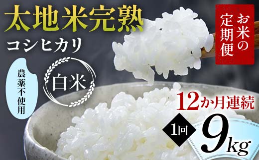【先行予約】お米の定期便 農薬不使用米 太地米完熟 【こ