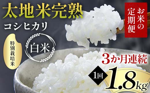 【先行予約】お米の定期便 特別栽培米 太地米完熟 【こし