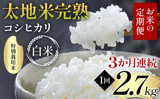 【先行予約】お米の定期便 特別栽培米 太地米完熟 【こし