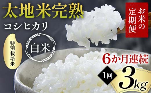 お米の定期便 特別栽培米 太地米完熟 【こしひかり】 白米3