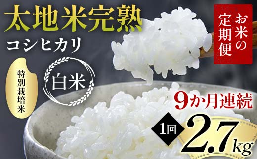 【先行予約】お米の定期便 特別栽培米 太地米完熟 【こし