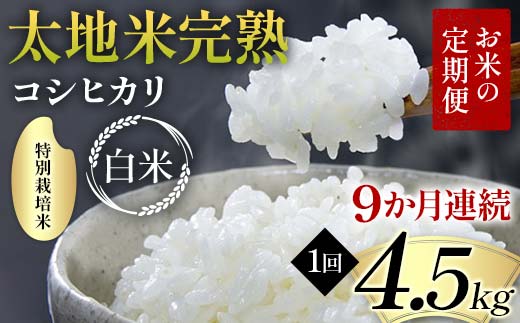 【先行予約】お米の定期便 特別栽培米 太地米完熟 【こし