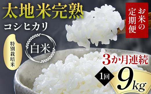 【先行予約】お米の定期便 特別栽培米 太地米完熟 【こし