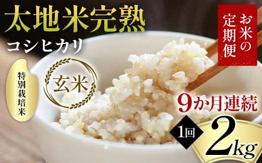 【先行予約】お米の定期便 特別栽培米 太地米完熟 【こし