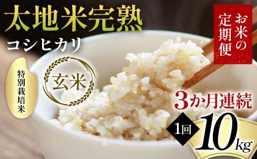 【先行予約】お米の定期便 特別栽培米 太地米完熟 【こし