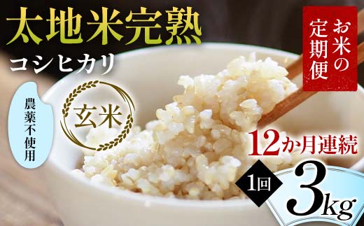 【先行予約】お米の定期便 農薬不使用米 太地米完熟 【こ