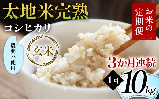 お米の定期便 農薬不使用米 太地米完熟 【こしひかり】 玄