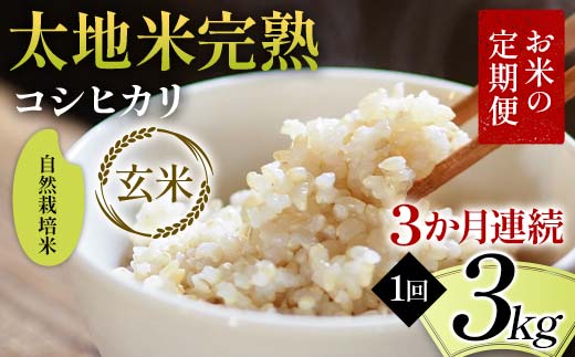 【先行予約】お米の定期便 自然栽培米 太地米完熟 【こし