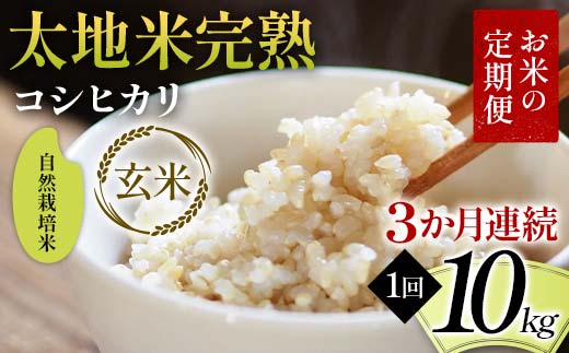 お米の定期便 自然栽培米 太地米完熟 【こしひかり】 玄米1