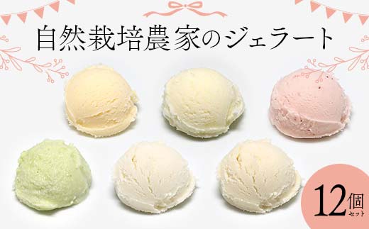 自然栽培農家のジェラート 12個セット ジェラート デザート