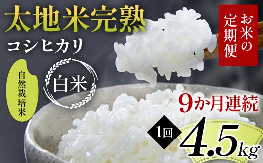 【先行予約】お米の定期便 自然栽培米 太地米完熟 【こし