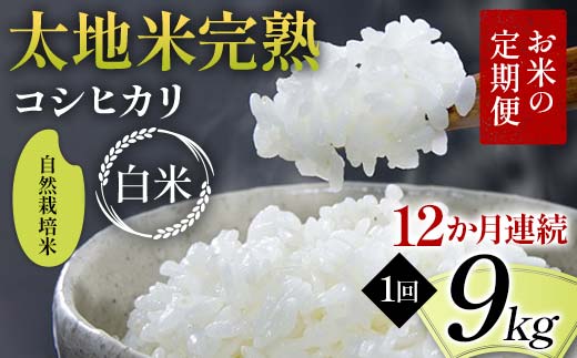 【先行予約】お米の定期便 自然栽培米 太地米完熟 【こし